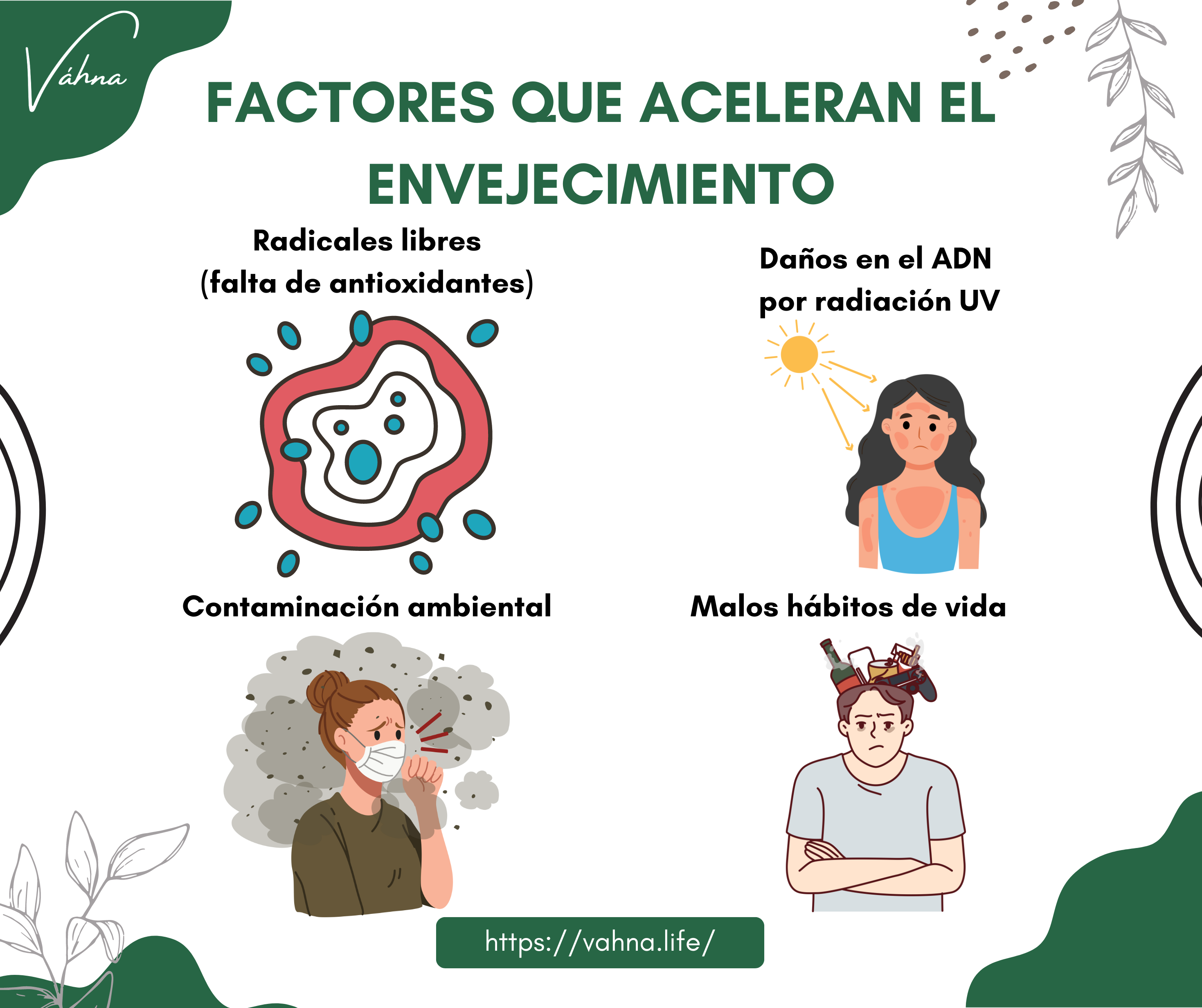 Factores que aceleran el envejecimiento.